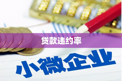 泰安贷款违约率