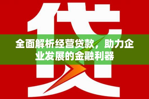 泰安全面解析经营贷款，助力企业发展的金融利器