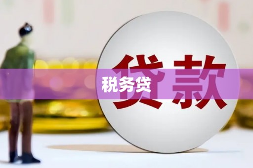 泰安税务贷