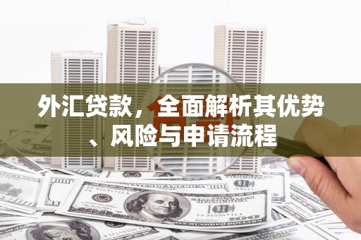 泰安外汇贷款，全面解析其优势、风险与申请流程