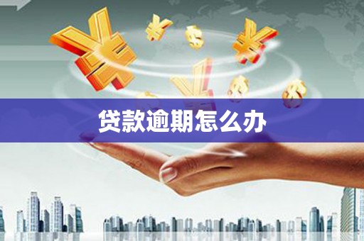 泰安贷款逾期怎么办
