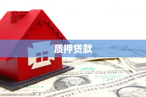 泰安质押贷款
