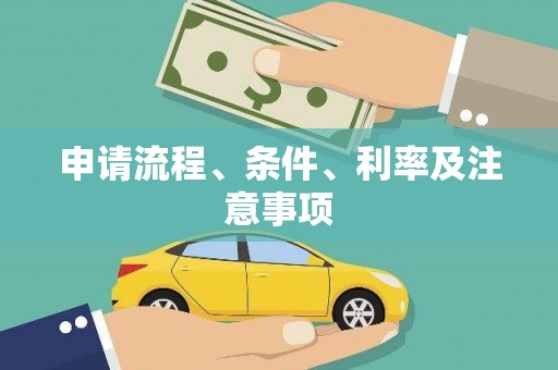 泰安申请流程、条件、利率及注意事项