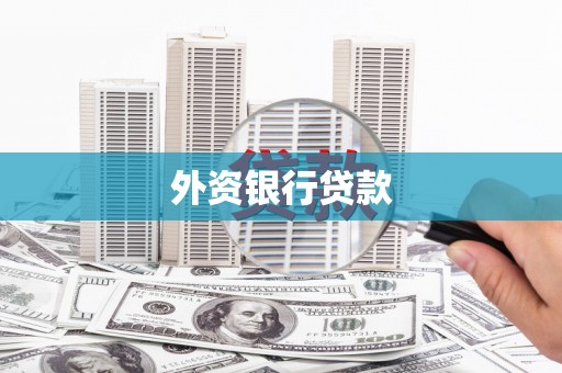 泰安外资银行贷款