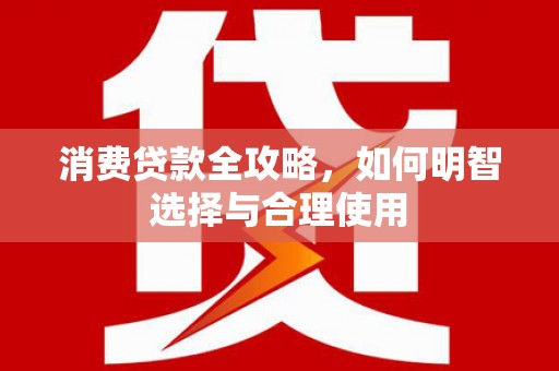泰安消费贷款全攻略，如何明智选择与合理使用