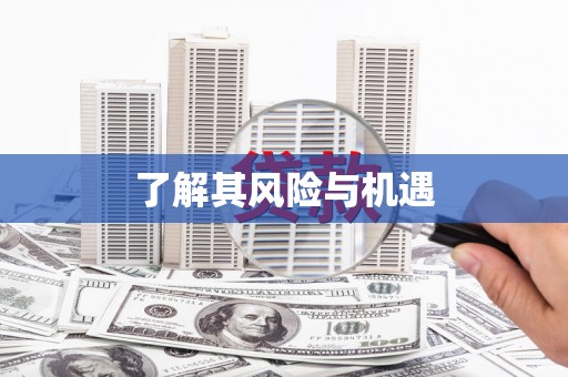 泰安了解其风险与机遇