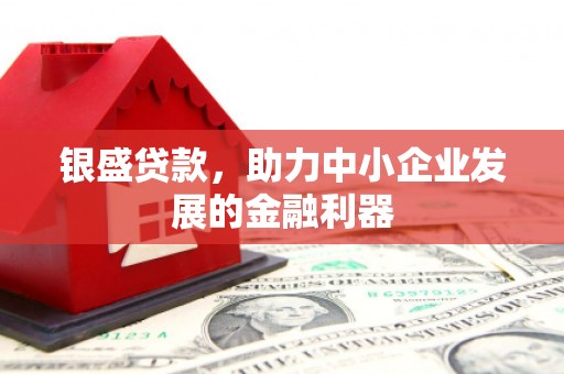 泰安银盛贷款，助力中小企业发展的金融利器