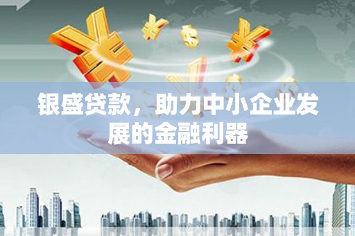 泰安银盛贷款，助力中小企业发展的金融利器