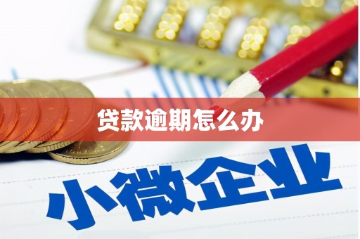 泰安贷款逾期怎么办
