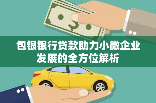 泰安包银银行贷款助力小微企业发展的全方位解析