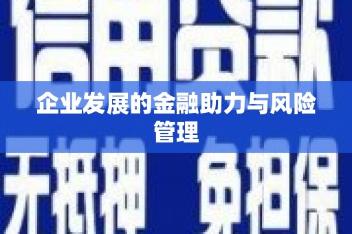 泰安企业发展的金融助力与风险管理