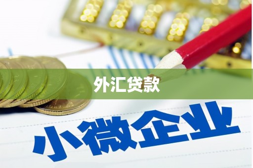 泰安外汇贷款