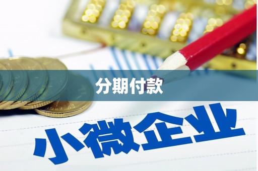 泰安分期付款