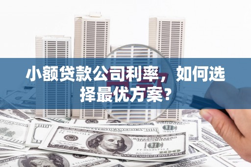 泰安小额贷款公司利率，如何选择最优方案？
