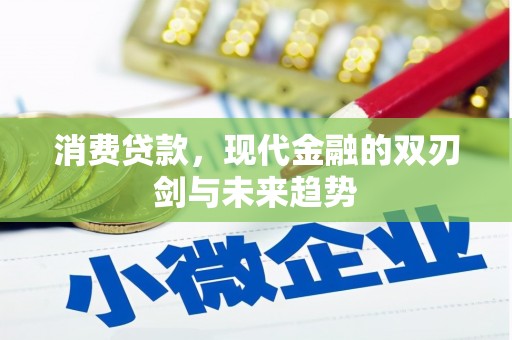 泰安消费贷款，现代金融的双刃剑与未来趋势