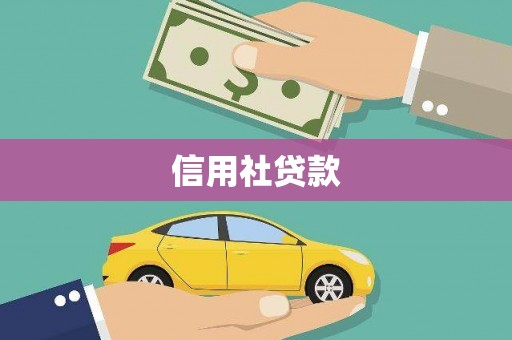 泰安信用社贷款