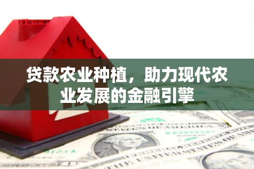 泰安贷款农业种植，助力现代农业发展的金融引擎