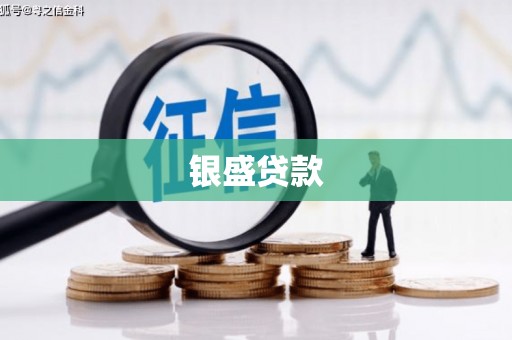 泰安银盛贷款