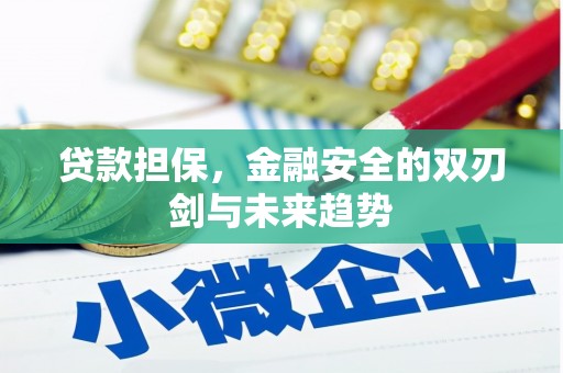 泰安贷款担保，金融安全的双刃剑与未来趋势