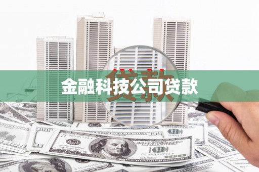 泰安金融科技公司贷款