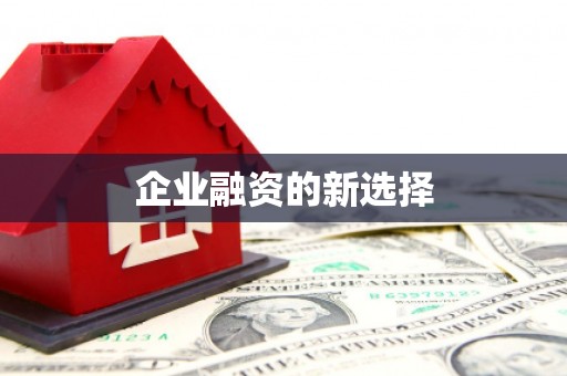 泰安企业融资的新选择