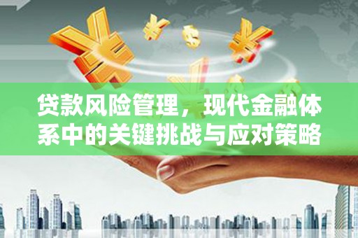 泰安贷款风险管理，现代金融体系中的关键挑战与应对策略