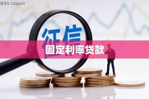 泰安固定利率贷款