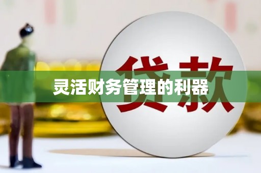 泰安灵活财务管理的利器