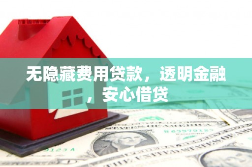 泰安无隐藏费用贷款，透明金融，安心借贷
