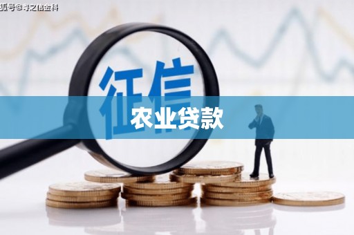 泰安农业贷款