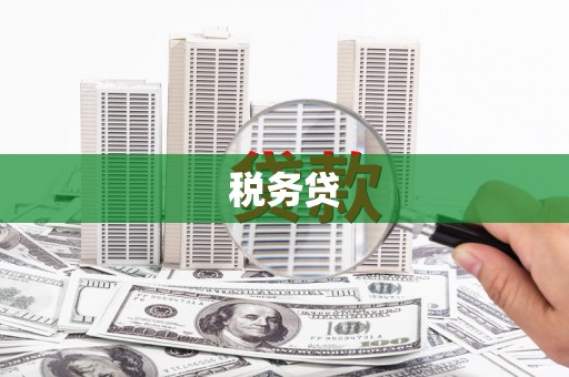 泰安税务贷