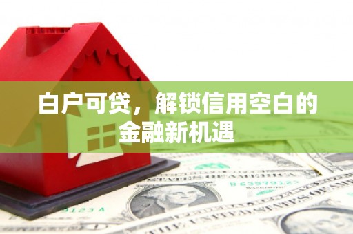 泰安白户可贷，解锁信用空白的金融新机遇