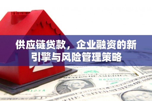 泰安供应链贷款，企业融资的新引擎与风险管理策略