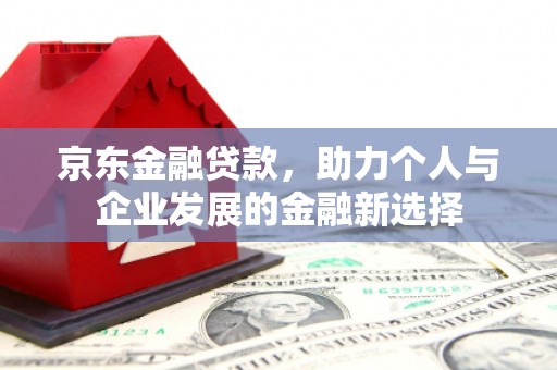 泰安京东金融贷款，助力个人与企业发展的金融新选择