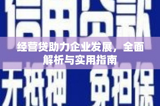 泰安经营贷助力企业发展，全面解析与实用指南