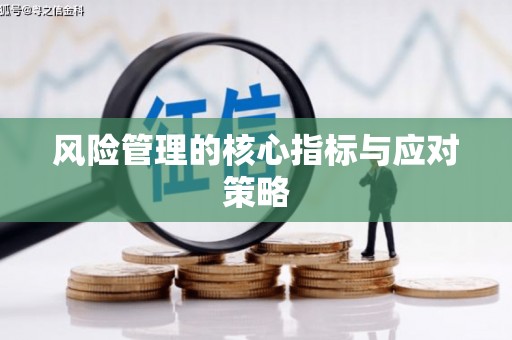 泰安风险管理的核心指标与应对策略