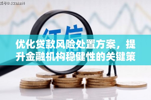 泰安优化贷款风险处置方案，提升金融机构稳健性的关键策略
