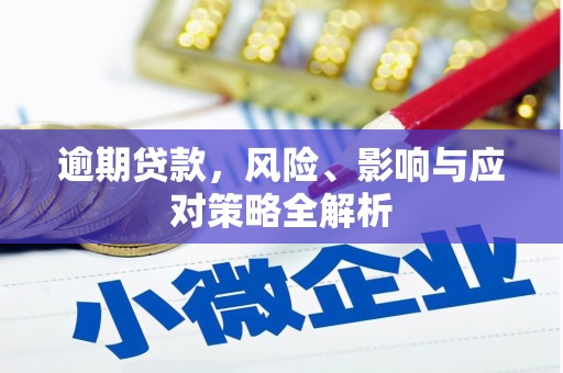 泰安逾期贷款，风险、影响与应对策略全解析