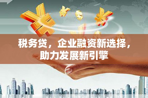 泰安税务贷，企业融资新选择，助力发展新引擎