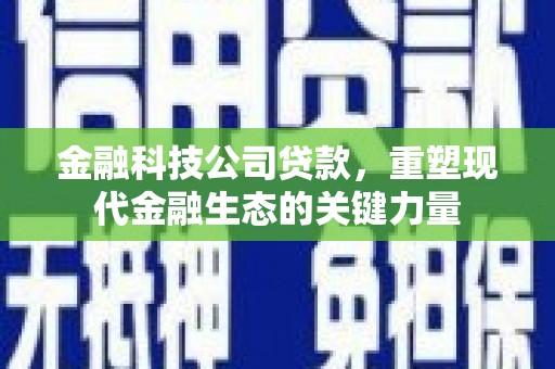 泰安金融科技公司贷款，重塑现代金融生态的关键力量