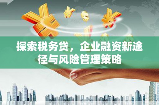 泰安探索税务贷，企业融资新途径与风险管理策略