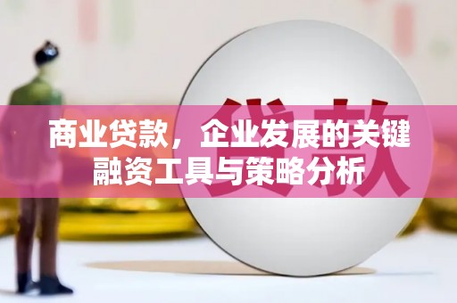 泰安商业贷款，企业发展的关键融资工具与策略分析