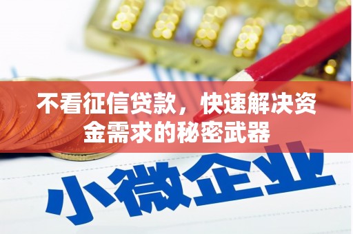 泰安不看征信贷款，快速解决资金需求的秘密武器