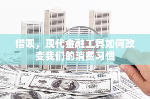 泰安借呗，现代金融工具如何改变我们的消费习惯