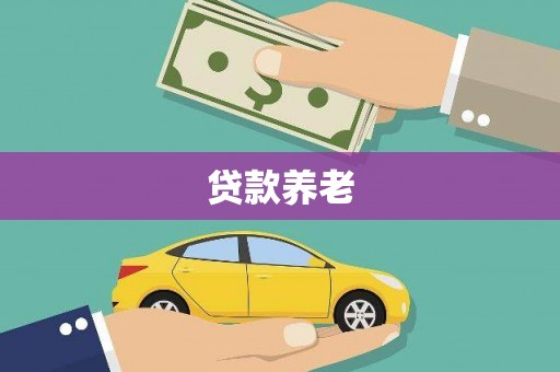 泰安贷款养老