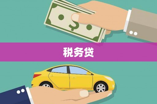 泰安税务贷