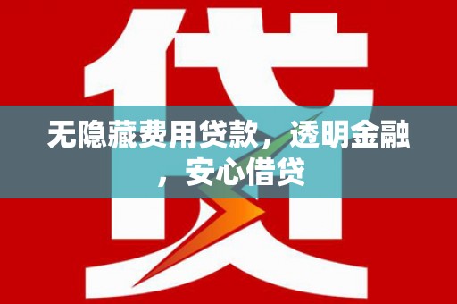 泰安无隐藏费用贷款，透明金融，安心借贷