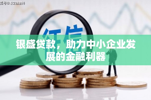 泰安银盛贷款，助力中小企业发展的金融利器
