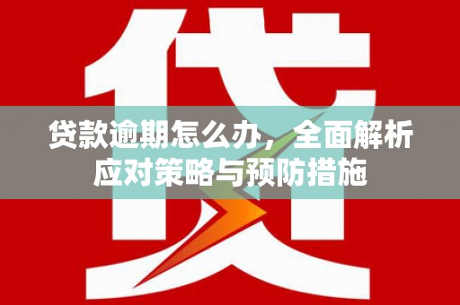 泰安贷款逾期怎么办，全面解析应对策略与预防措施