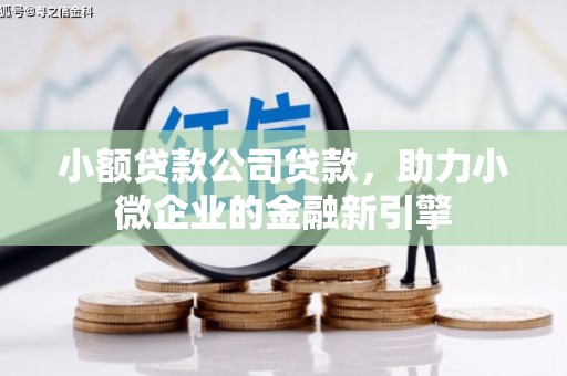 泰安小额贷款公司贷款，助力小微企业的金融新引擎